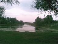 Дмитрівка з panoramio.com