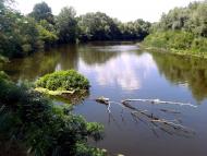 Омельник з panoramio.com