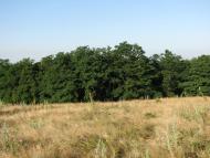 Івахнівці з panoramio.com