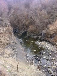 Синапне з panoramio.com