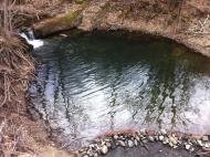 Синапне з panoramio.com