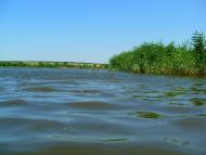 Кузнецове з panoramio.com