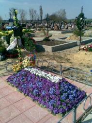 Вишневе з panoramio.com