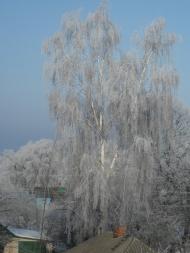 Лебедин з panoramio.com