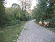 Кам'яне з panoramio.com