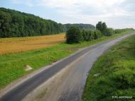 Лісоводи з panoramio.com