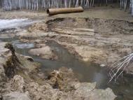 Піщане з panoramio.com