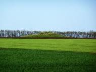 Колонтаев - Последние фото