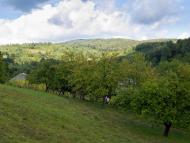 Ільниця з panoramio.com