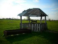 Наливайкове з panoramio.com