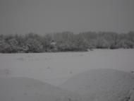 Білики з panoramio.com