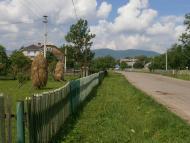 Яблунька з panoramio.com