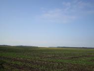 Лажева з panoramio.com