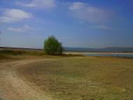 Дачное - Последние фото