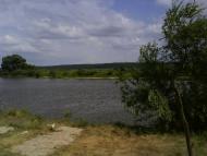 Лісконоги з panoramio.com