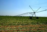 Червоноармійське з panoramio.com