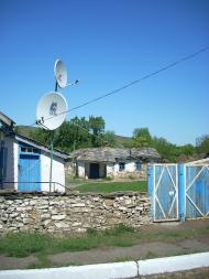 Медвежанка - Последние фото