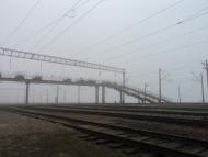 Плавні з panoramio.com