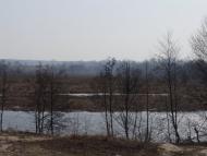 Тетерівка з panoramio.com