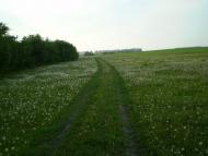 Лозувата з panoramio.com