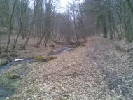 Жизномир з panoramio.com