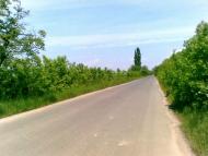 Чома з panoramio.com