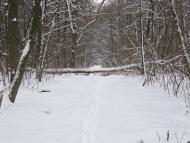 Заріг з panoramio.com