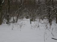 Заріг з panoramio.com