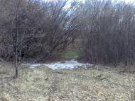 Бузова Пасківка з panoramio.com