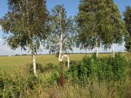 Вишнопіль з panoramio.com