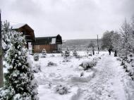 Бар з panoramio.com