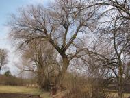 Кип'ячка з panoramio.com