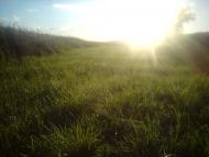 Мішково-Погорілове з panoramio.com