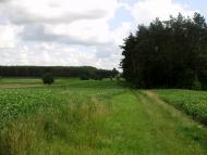 Пилиповичі з panoramio.com