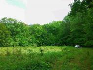 Щасливе з panoramio.com