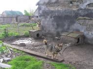 Маковичі з panoramio.com