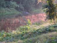 Кам'яне з panoramio.com