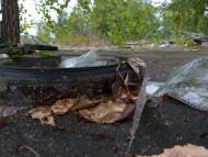 Радинка з panoramio.com