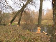 Кам'яне з panoramio.com