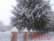 Веснянка з panoramio.com