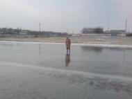 Парутине з panoramio.com