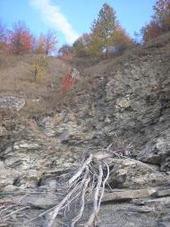 Кормань з panoramio.com