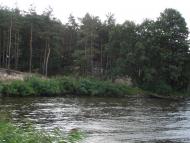 Осещина з panoramio.com