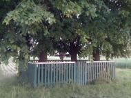 Замок з panoramio.com