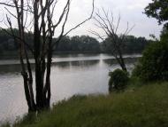 Мельники з panoramio.com