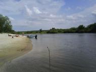 Лісконоги з panoramio.com