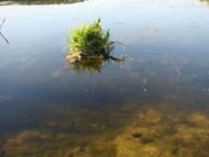 Ізбицьке з panoramio.com