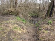 Кип'ячка - Останні фото