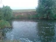 Новоандріївка з panoramio.com