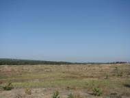 Піщане з panoramio.com